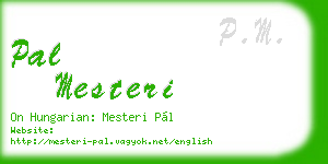 pal mesteri business card